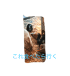 動物！！！！！！！！！！（個別スタンプ：7）