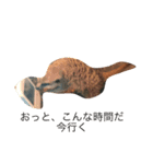 動物！！！！！！！！！！（個別スタンプ：8）