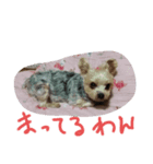 た、か、し（個別スタンプ：2）