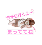 紅華stamp（個別スタンプ：15）