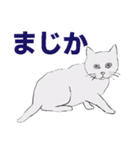 ちょっとリアルな灰色の猫（個別スタンプ：1）