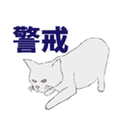 ちょっとリアルな灰色の猫（個別スタンプ：5）