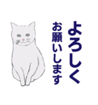 ちょっとリアルな灰色の猫（個別スタンプ：7）
