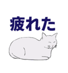 ちょっとリアルな灰色の猫（個別スタンプ：8）