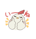 少し残念だけどジェントルなニワトリ（個別スタンプ：13）