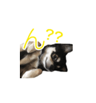こんにちわメリーです（個別スタンプ：5）