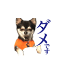 こんにちわメリーです（個別スタンプ：6）