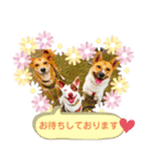 保護犬のスタンプ（個別スタンプ：10）