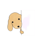 たれ耳わんこダックスのスタンプ（個別スタンプ：1）