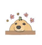 たれ耳わんこダックスのスタンプ（個別スタンプ：37）