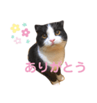 えりみすたんぷ（個別スタンプ：1）