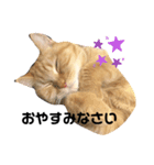 えりみすたんぷ（個別スタンプ：5）