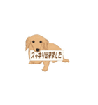 住まいも心もスッキリ！（個別スタンプ：4）