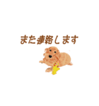 住まいも心もスッキリ！（個別スタンプ：8）