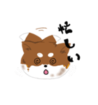 みたら柴の日常（個別スタンプ：6）
