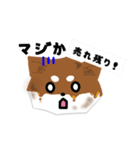 みたら柴の日常（個別スタンプ：12）