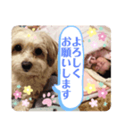 あずれお（個別スタンプ：13）