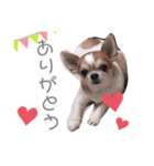 吟と來と天（個別スタンプ：8）