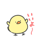 ひよこのこ2（個別スタンプ：1）