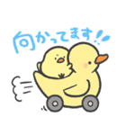ひよこのこ2（個別スタンプ：19）