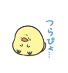 ひよこのこ2（個別スタンプ：20）