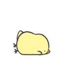 ひよこのこ2（個別スタンプ：21）