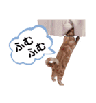 うちのみおりんスタンプ（個別スタンプ：40）