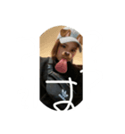 すたんぷうううううう（個別スタンプ：6）