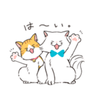 ほわほわ白にゃんこ（個別スタンプ：6）