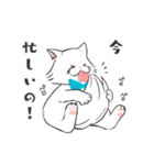 ほわほわ白にゃんこ（個別スタンプ：15）