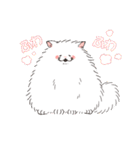 ほわほわ白にゃんこ（個別スタンプ：24）