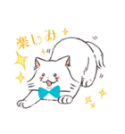 ほわほわ白にゃんこ（個別スタンプ：29）