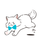 ほわほわ白にゃんこ（個別スタンプ：34）