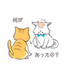 ほわほわ白にゃんこ（個別スタンプ：38）