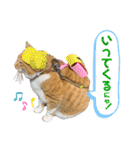 床屋さんの看板猫、人気猫ミー（個別スタンプ：24）