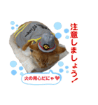 床屋さんの看板猫、人気猫ミー（個別スタンプ：25）