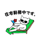 アベイラブルのコンサルねこ（個別スタンプ：4）