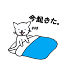 アベイラブルのコンサルねこ（個別スタンプ：8）