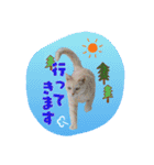 にゃんこのなかまたち（個別スタンプ：4）