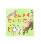 にゃんこのなかまたち（個別スタンプ：24）