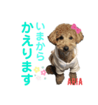 かのんとくぅと時々アリア（個別スタンプ：5）