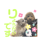かのんとくぅと時々アリア（個別スタンプ：10）