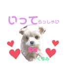 かのんとくぅと時々アリア（個別スタンプ：14）