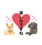 かのんとくぅと時々アリア（個別スタンプ：16）