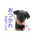 かのんとくぅと時々アリア（個別スタンプ：21）