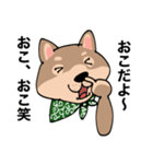 感じの悪い柴犬（個別スタンプ：1）