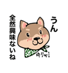 感じの悪い柴犬（個別スタンプ：3）