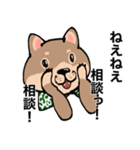 感じの悪い柴犬（個別スタンプ：5）