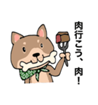 感じの悪い柴犬（個別スタンプ：6）