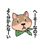 感じの悪い柴犬（個別スタンプ：7）